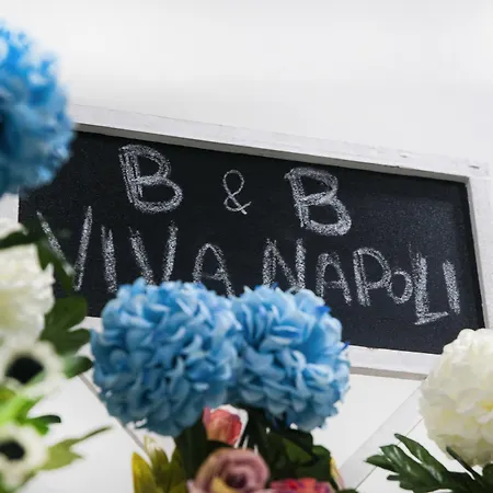 B&B Viva Napoli-2